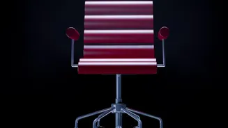How Simple Monitor Chair Adjustments Keep Your Lower Back Pain Free