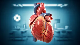 5 Habits for a Long, Healthy Life: Heart Surgeon's Secrets