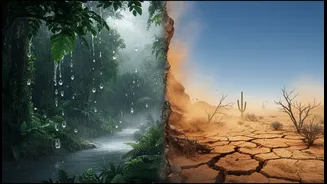 How India's Rainfall Can Shift Between El Niño And La Niña