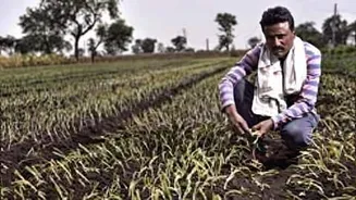 Maharashtra announces ₹27,000cr loan waiver under Punyashlok Ahilyadevi Holkar scheme