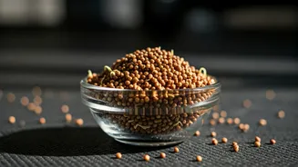 Sprouted Ragi Mixes Are The Ultimate Clean Workout Fuel