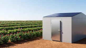 Why Solar-Powered Storage Is Reclaiming Value For Rural Bengaluru Rose Farms