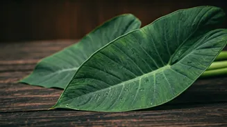 This Leafy Secret Has Traditional Kitchen Roots