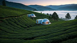 Misty Geodesic Domes In Munnar Offer Dream Romantic Tea Garden View