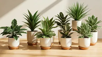 Related Stories banner