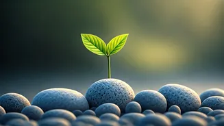 Sacred Sanctuaries: Indian Holy City-Inspired Baby Names for Spiritual Beginnings