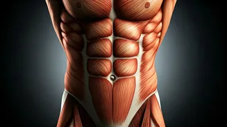 Prancha Abdominal: Quanto Tempo Manter e Benefícios Essenciais para seu Core