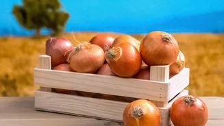 Build A Plan For A Use-First Produce Box Around Delicate Vegetables, Then Add Open Packs