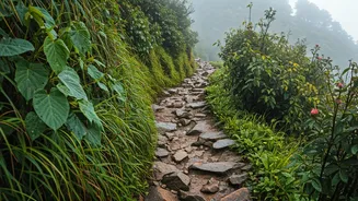 Uttarakhand Treks Need Monsoon Safety Awareness