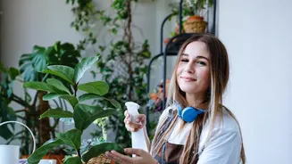 Why Repotting Indoor Houseplants During Active Growth Seasons Minimises Root Damage Risk Considerably Today