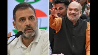 ‘Not Interested In Lecture’: Rahul Gandhi On Amit Shah’s ‘Ready For Debate’ Remark Amid Parliament Logjam