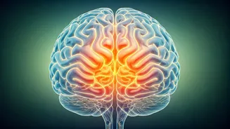 Related Stories banner