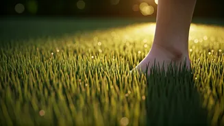 Ditch High-Tech Gyms For Barefoot Runs On Natural Grass