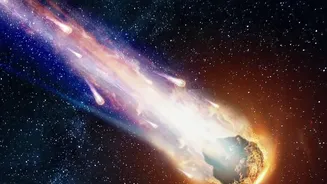 The House-Crashing Meteorite Study: Amino Acids Inside the Space Rock Explained