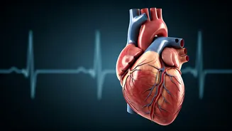 Natural Blood Pressure Solutions: Exercise & Lifestyle