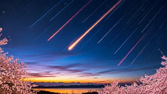 The Travel Calendar Everyone Is Watching