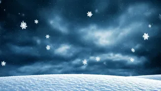 Related Stories banner