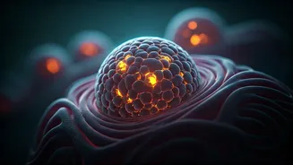 Unlocking Your Body's Repair Crew: The Science Behind Sleep and Regeneration