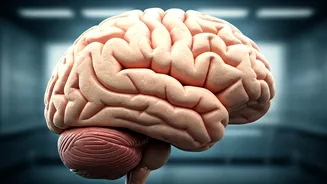 Boost Brain Function in 31 Days With These Tips