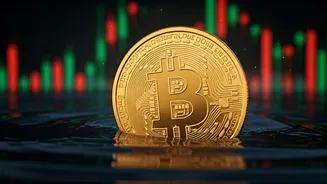 Navigating Digital Gold: Investment Risks Explored