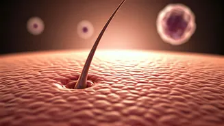 Alopecia Areata: Unraveling the Myth of Shaving for Hair Regrowth