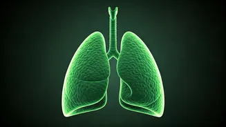 What Foods Should You Avoid For Lung Health?