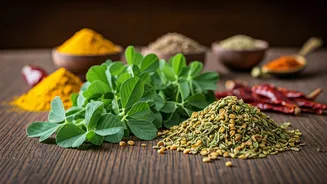 Fenugreek Leaves Can Make Curries Taste Richer