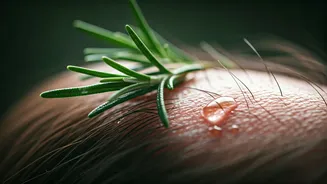Revitalize Your Hair: The Power of Microneedling & Rosemary Oil for Regrowth