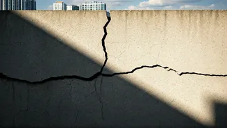 Delhi Assembly's Intervention: A Political Breakdown