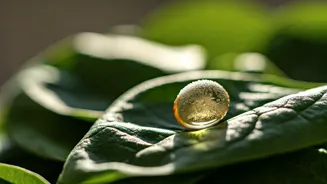 Unveiling Vitamin D3: The Winter Wellness Warrior