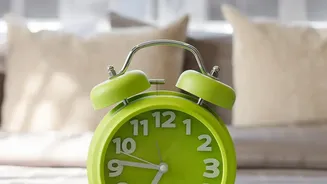 Science-Backed Morning Routine: 10 Minutes Of Daylight Resets Body Clock And Focus