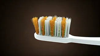 Unseen Threats: Germs Lurking on Your Toothbrush!