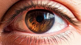 High-Altitude Vision Loss: A Trekker's Guide