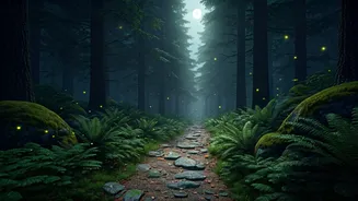 Plan Your Next Trek With Guided Night Eco Walks