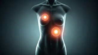 Mammogram Frequency: Annual vs. Biennial Screenings for Breast Cancer in India