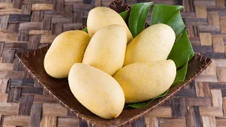 Which is world’s sweetest mango? Meet Carabao mangoes that earned Guinness World record