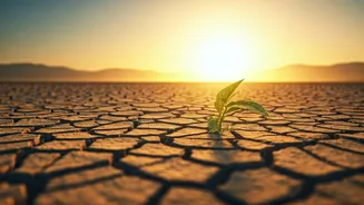 Extreme Heat & Your Health: Identifying Vulnerable Groups and Safety Strategies