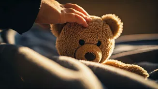 Related Stories banner