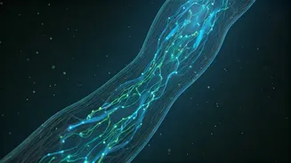 Shedding Pounds Safely: Understanding Metabolism & The Perils of Rapid Weight Loss