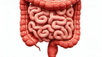 Caffeine & Bowel Movements: What You Need to Know