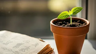 Why Indian Youth Swear By Low Cost Starter Gardening Manuals
