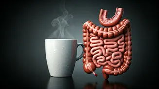 Coffee & Bowels: Why That Morning Rush?
