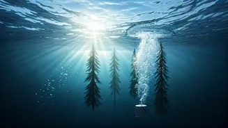 Arctic Ocean Carbon Sink: Trees to the Rescue?