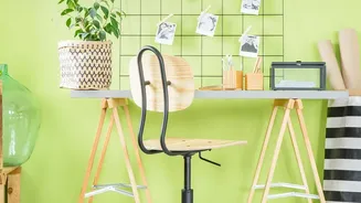 Boost productivity with desk plants