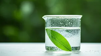 Humidity Is Changing Dermatologists' Beauty Advice