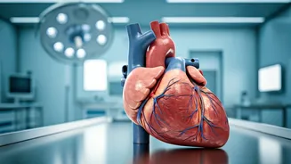 5 Habits Harming Your Heart, According to Cardiologists