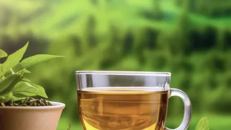 How Native Plant Botanicals Help Cold Tea Drinkers Ditch Artificial Syrups