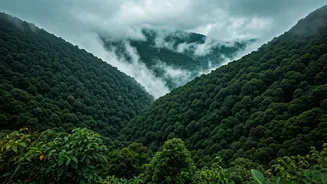 Eco Trekkers Journey To Wayanad For Breathtaking Misty Monsoon Views
