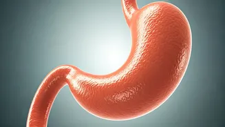 Related Stories banner