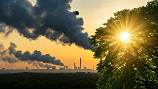 Saving Lives: IIT Delhi Study Reveals 1.24 Lakh Annual Deaths Preventable by Curbing Coal Plant SO2 Emissions in India